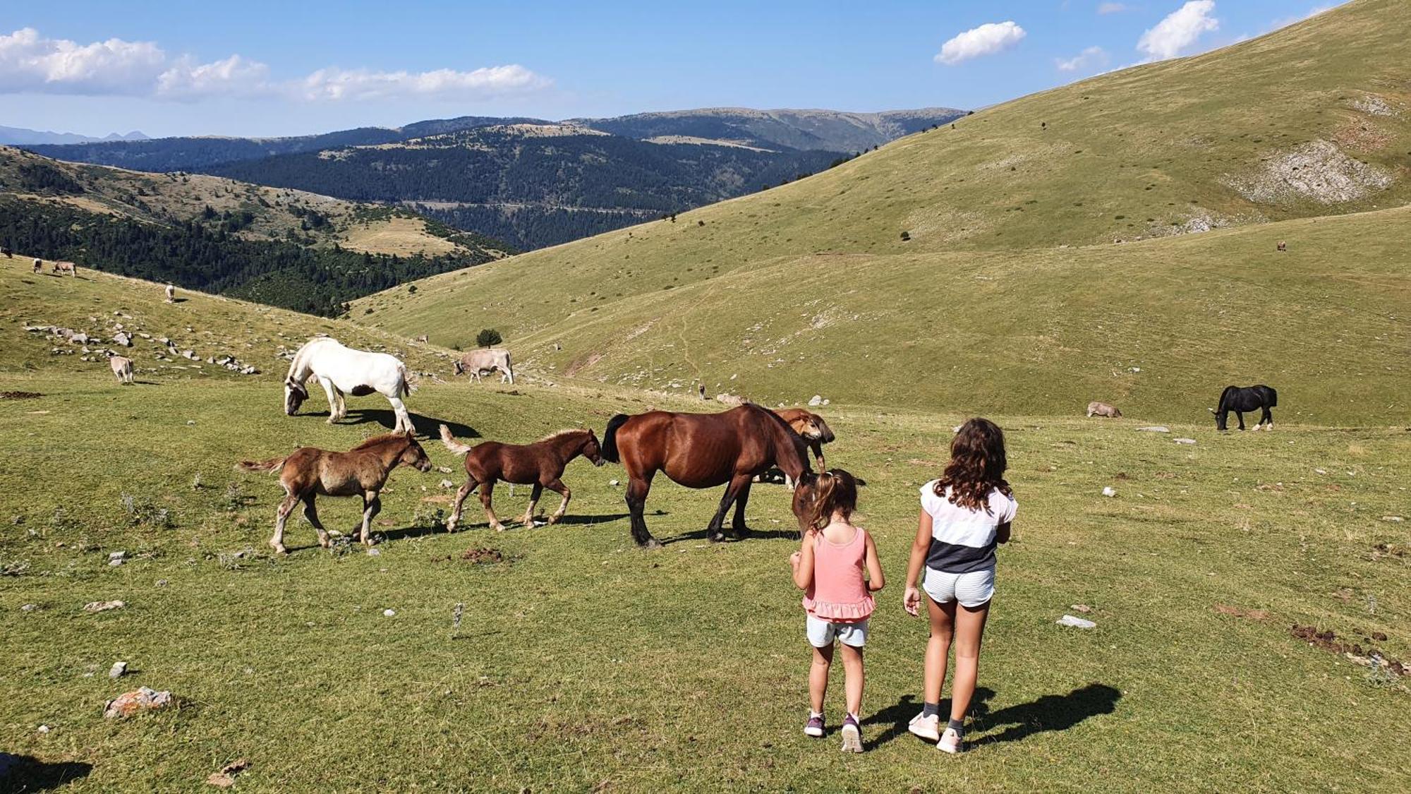 El Mirador De La Cerdanya La Molina (Girona)